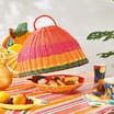 The Outdoor Living Collection Rainbow Rattan Food Cover