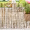 Jardin Reed Fencing 1.5x4m
