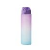 Hydrate 900ml Ombre Tracker Bottle