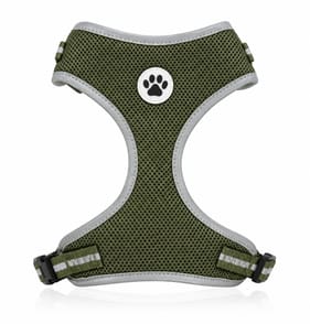  MyPet Dog Harness Green - Medium