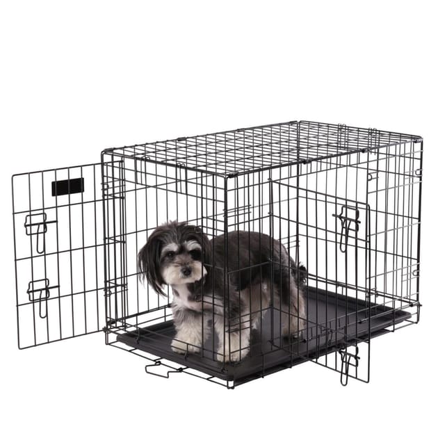 Home bargains hamster cage discount