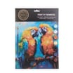 Colvin & Co Paint By Numbers