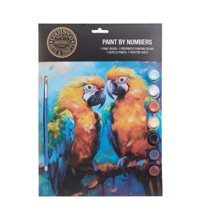 Colvin & Co Paint By Numbers