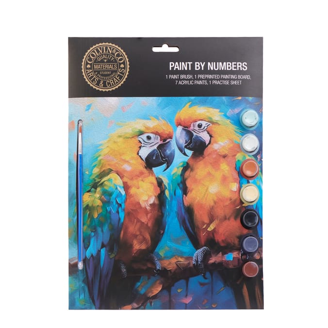 Colvin & Co Paint By Numbers