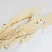The Lifestyle Edit Autumn Cream Garland