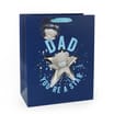 Dad You're A Star Gift Bag