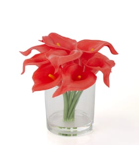 Artificial Cala Lilly In Glass Pot - Red