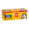 Pedigree Protein+ Adult Wet Dog Food Selection in Jelly 40 x 85g