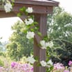 Jardin Artificial Blossom Garland