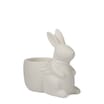 Happy Easter Paint Your Own Egg Cup - Bunny