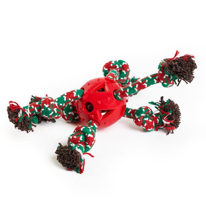 Chester's Rope Tough Toy