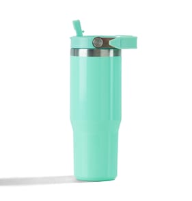 Hydrate 30oz Tumbler with Handle - Mint