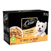 Cesar Adult Wet Dog Food Pouches Deliciously Fresh Mixed Selection In Jelly 12 X 100g