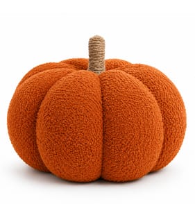 The Lifestyle Edit Harvest Pumpkin Cushion - Orange