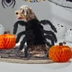 My Pets Dog Dress-Up Vest - Spider