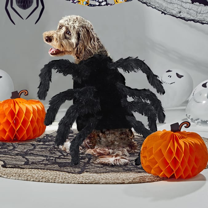 Home bargains top dog coats