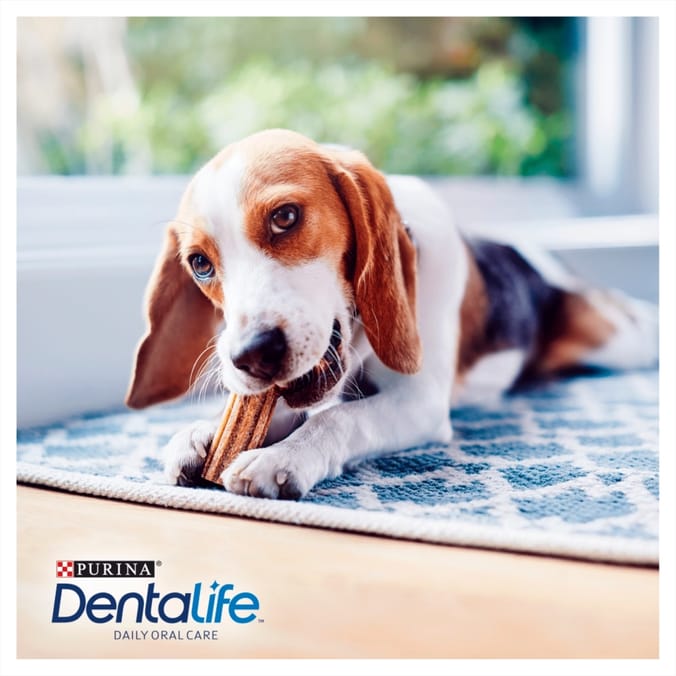 Dentalife Small Dog Treat Dental Chew 3 x 21 Stick Pack