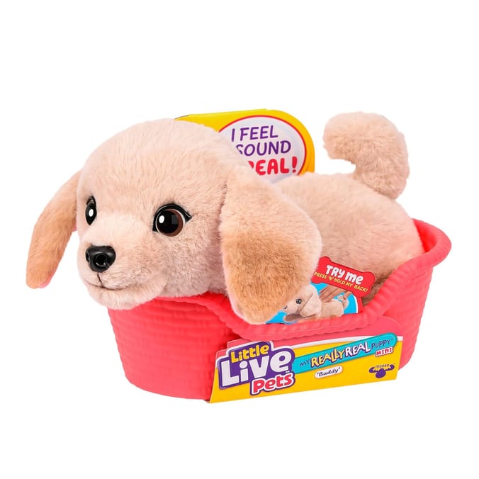Little Live Pets My Really Real Puppy Mini - Buddy