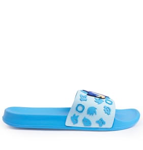 Sonic The Hedgehog Slides