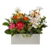Spring Window Box - Orange