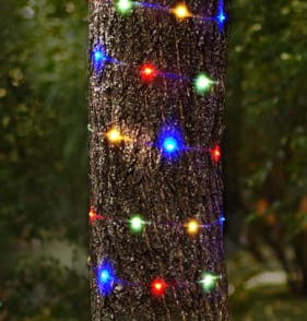 Prestige 100 LED Micro String Lights - Multi
