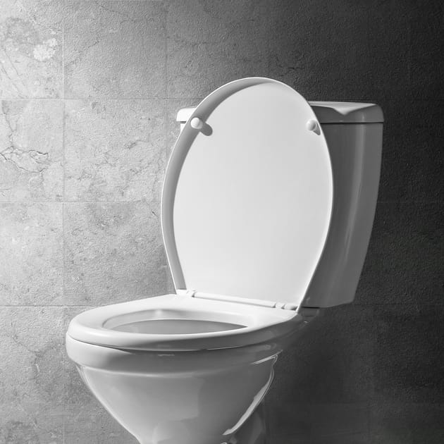 Bath Soft Close Toilet Seat White Home Bargains