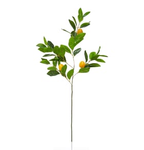 The Outdoor Edit Mediterranean Lemon Pick 
