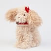 Sleigh Bells Sitting Dog Plus - Bow