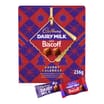 Cadbury Dairy Milk Biscoff Chocolate Christmas Advent Calendar 236g