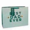 Best Dad Ever Gift Bag