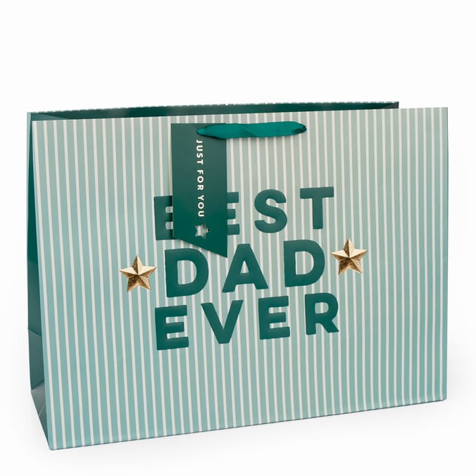 Best Dad Ever Gift Bag