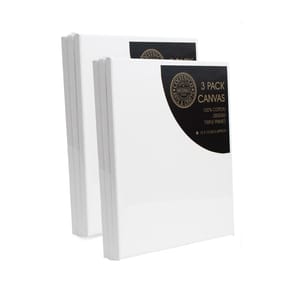 Colvin & Co Artists 30x25cm Canvas 3 Pack x2