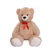 Big Bear Plush 120cm