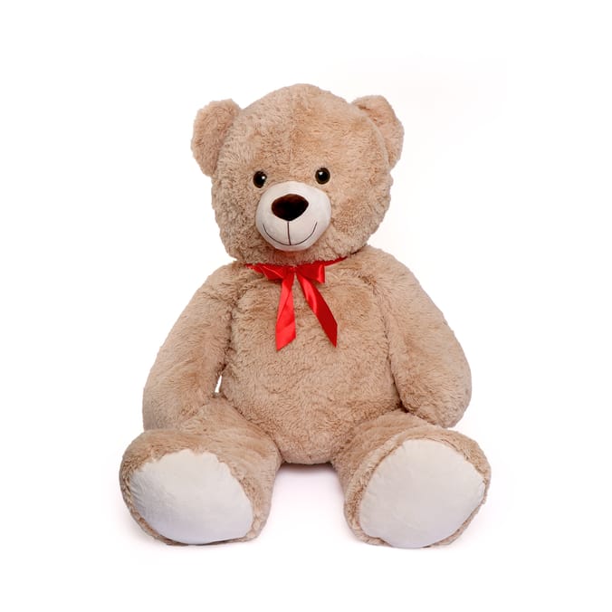 Large teddy hot sale bear home bargains