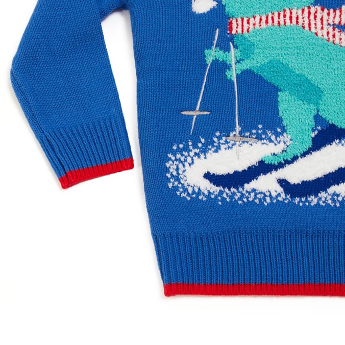 Festive Fun Young Boy Ski Rex Christmas Jumper - 18-24 Months