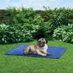 MyPet Pet Cooling Mat Medium