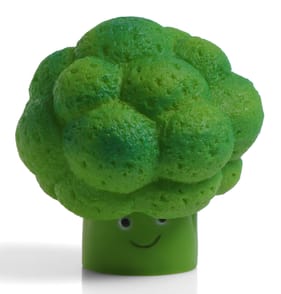 My Pets Dog Toy - Broccoli