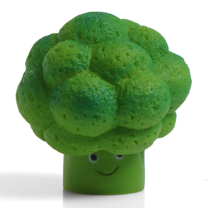 My Pets Dog Toy - Broccoli