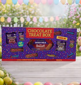 Chocolate Treat Box 318g