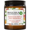 Airwick Botanica Candle 205g - Menta Mapokoy & Pink Grapefruit 