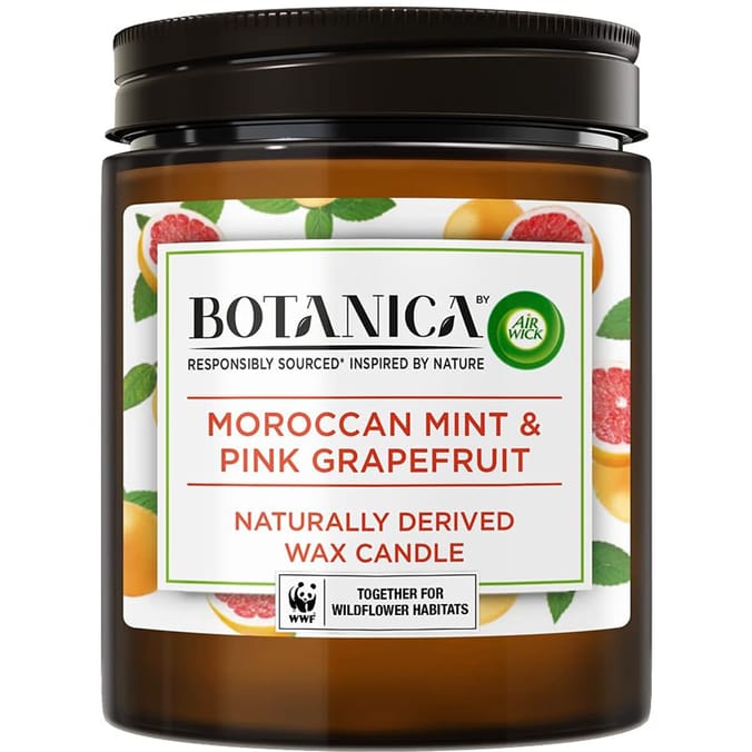 Airwick Botanica Candle 205g - Menta Mapokoy & Pink Grapefruit 