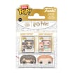 Funko Bitty Pop! Harry Potter 2 Pack - Harry & Ginny