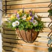 Jardin Artificial Chrysanthemum Wall Basket 