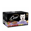 Cesar Wet Dog Food Juicy Hotpot Mixed Selection 8 x 150g