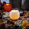 Home Collections Harvest LED Wax Pumpkin Candle