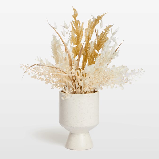 The Lifestyle Edit Autumn Potted Foliage