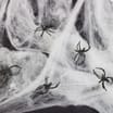 Haunted House Web & Spiders
