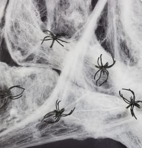 Haunted House Web & Spiders