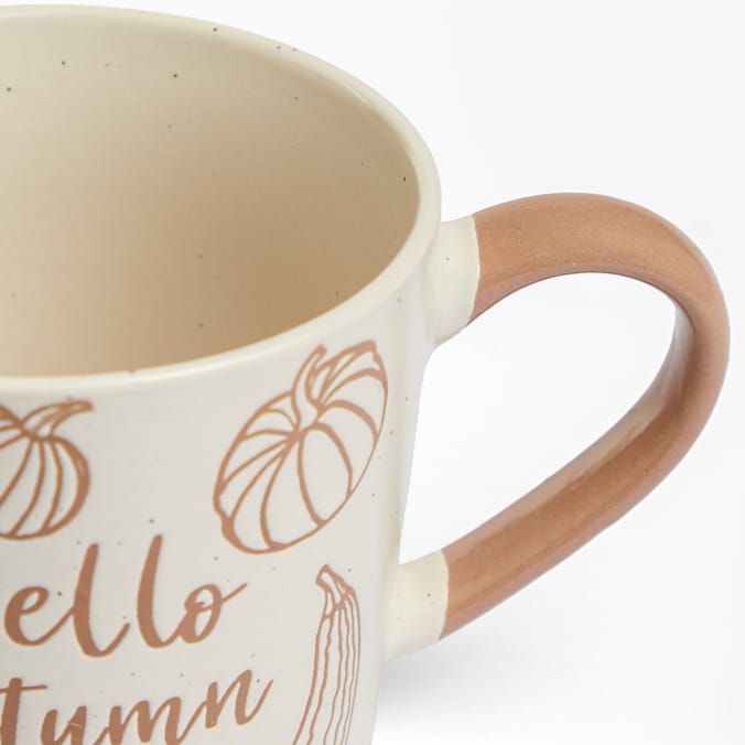 The Lifestyle Edit Harvest Autumn Mug | Home Bargains