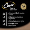 Cesar Hearty Casserole Adult Wet Dog Food Mixed Trays 8 x 150g